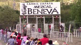 Chacorta cuadra Zapata vs Yureli cuadra chicuelaCarril Zapata Unión Zapata Mitla Oax14Oct2018 [upl. by Gavrila]