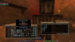 Morrowind 400 Mods Permadeath  Bosmer Archer No Commentary Part 4 [upl. by Ahsyas]