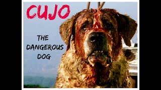 The Dangerous Dog Cujo Full Movie in Hindi [upl. by Edualcnaej]