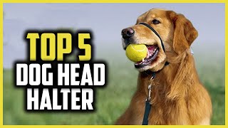 ✅ Top 5 Best Dog Head Halter of 2024 [upl. by Wait869]