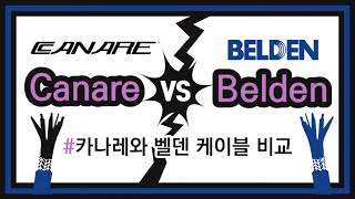 카나레와 벨덴 비교 Canare vs Belden [upl. by Gillett]