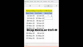 How to Calculate Network Days in Excel [upl. by Kendre]