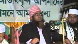 Maulana Jubaer Ahmed Ansari Bangla waz 2014 [upl. by Morra415]