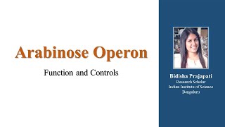 Arabinose Operon for CSIRNET [upl. by Aimehs]