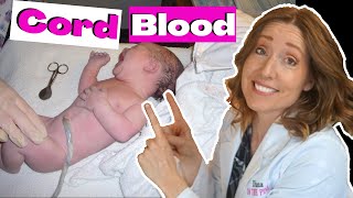 CBR Cord Blood  Is Cord Blood Banking Right for Your and Your Baby [upl. by Oiracam208]