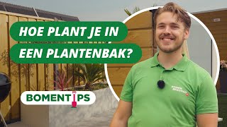 Hoe plant je in een grote plantenbak  BOMENTIPS 58 [upl. by Elleneg485]