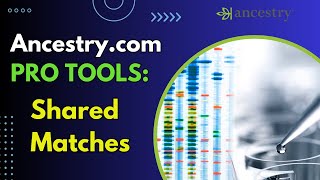 Ancestrycom PRO TOOLS  Shared Matches [upl. by Caroline]