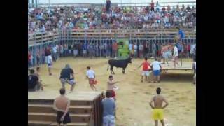 Bulls By The Sea Denia Alicante Spain [upl. by Triley]