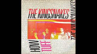 The Kingsnakes  Not Nice  1983 [upl. by Judsen109]