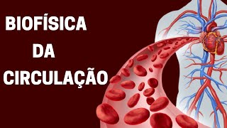 Biofísica da circulação sanguínea  Fisiologia humana [upl. by Stander164]