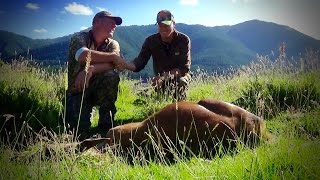 Hunting Red deer with 270 Win rifle neck shot in New Zealand part 62 [upl. by Edylc]