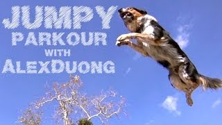 Alex amp Jumpy  The Parkour Dog [upl. by Bergh]