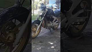 Yamaha Fazer ys 250cc [upl. by Idnem359]