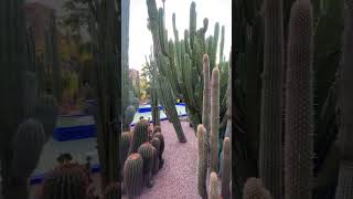 Majorelle Garden in Marrakesh [upl. by Myrtia]