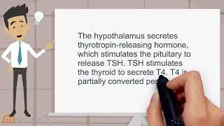 Thyroid hormones  How are thyroid hormones produced [upl. by Nallek]