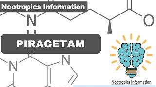 Piracetam  Nootropics Information [upl. by Aube]