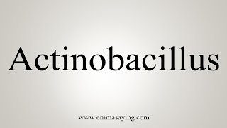 How To Say Actinobacillus [upl. by Sousa]