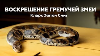 ВОСКРЕШЕНИЕ ГРЕМУЧЕЙ ЗМЕИ — Кларк Эштон Смит  Аудиокнига мистика ужасы рассказ [upl. by Allekim]