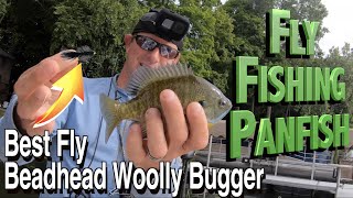 How to Fly Fish for Panfish  Best Bluegill Fly Beadhead Woolly Bugger  Tips amp Techniques [upl. by Aeduj]