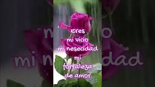 Palabras de amor y romance💝 para tiversos bonitos y cortos para dedicar💞💞amor [upl. by Eibot]