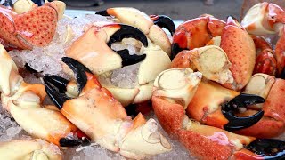 INSANE Seafood EXTRAVAGANZA at the SOUTH FLORIDA SEAFOOD FESTIVAL  Miami Florida [upl. by Fradin978]