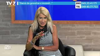 Danni da grandine e incendio  Tv7 con Voi 2724 1 di 2 [upl. by Hafeetal326]