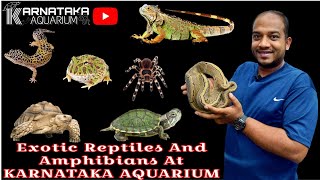 Exotic Reptiles And Amphibians At KARNATAKA AQUARIUM  exotic reptiles india [upl. by Pilihp]