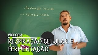 O que é Mitocôndria  Extensivo Biologia  Descomplica [upl. by Eener696]