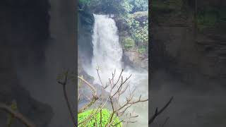 GOA❤️ INDUteluguvlogs  harvalem water fall amp Salaulim dam goa trending ytshorts [upl. by Dewitt]