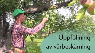 Uppföljning av vårbeskärning [upl. by Ybbor443]