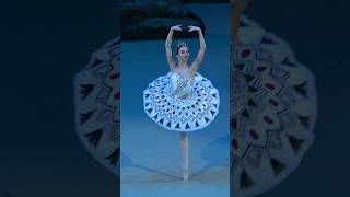 Елизавета Кокорева 🌴Аспиччия 🌴ballet bolshoi dancevideo shortvideo russianballet art [upl. by Essiralc]