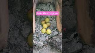 Bhune Hue aanwale ki Chatni भुने आंवला की चटनी बनाएं amla food Amla chutney recipe [upl. by Drol]