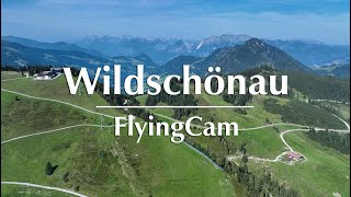 Webcam Wildschönau – Wunderbare Tiroler Bergwelt [upl. by Amlus348]