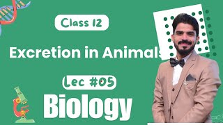 Excretion in Animals  Homeostasis  Chapter 15  Biology Class 12  Lecture05 [upl. by Grizelda]