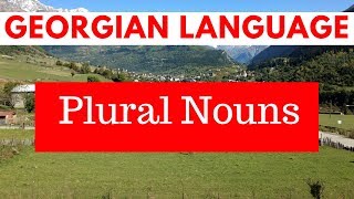 Georgian Language With A Peace Corps Volunteer  Pluralisation of Nouns [upl. by Karalynn]