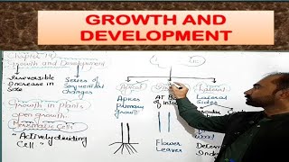 Growth and development  Growth in Plants  meristem and its types fsc biology class 12 [upl. by Eniaral]