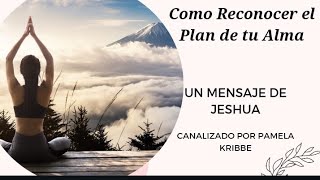 💫💥COMO RECONOCER EL PLAN DEL ALMA 🔥💥💫 [upl. by Larimor]