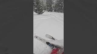 INSANE FOREST 🌳 POWDER SKIING WITH ATOMIC BENT CHETLER 120 [upl. by Hcelemile]