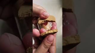 threptin biscuit best protein biscuits unboxingvideo unboxing shortvideo ytshorts [upl. by Florri]