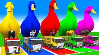 5 Giant Duck CartoonCowElephantGiraffeTigerLion Paint Wild Animals Crossing Fountain Animation [upl. by Erej]