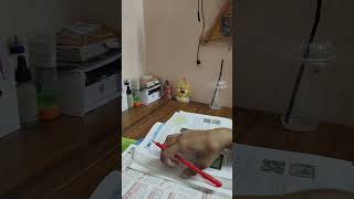 You are in exam week edit motivation studyvibes study studymotivation neetaspirant examlife [upl. by Toland]