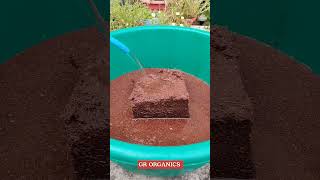 Cocopeat brick cocopeat shorts plants ytshorts gardening grorganics [upl. by Poland637]