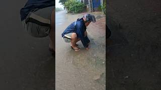 This Culvert Possible For Drain Flood Rain unclog rainwater drain shorts [upl. by Jacinto]