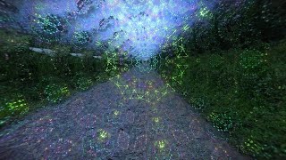 High Dose SHROOMS Trip Simulation POV [upl. by Zoa]