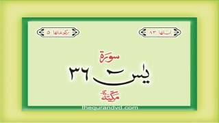 36 Surah Ya Sin with audio Urdu Hindi translation Qari Syed Sadaqat Ali [upl. by Karb831]