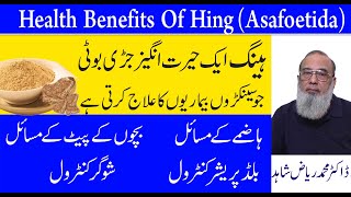 Asafoetida Powder Health Benefits  Heeng Benefits Urdu Hindi  Heeng Ky Fayde [upl. by Aida639]