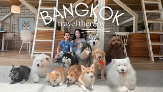 Dog Cafe Bangkok  Dog in Town Ari [upl. by Simson]