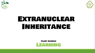 Extranuclear Inheritance [upl. by Nimzzaj]