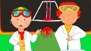 Science Fair  Caillou Compilations [upl. by Guenzi]