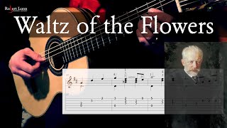 WALTZ OF THE FLOWERS  Tchaikovsky  New Arrangement  with TAB  Classical Guitar [upl. by Janerich160]